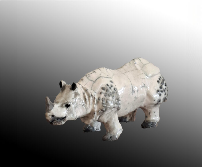 RHINOCEROS2 copie2