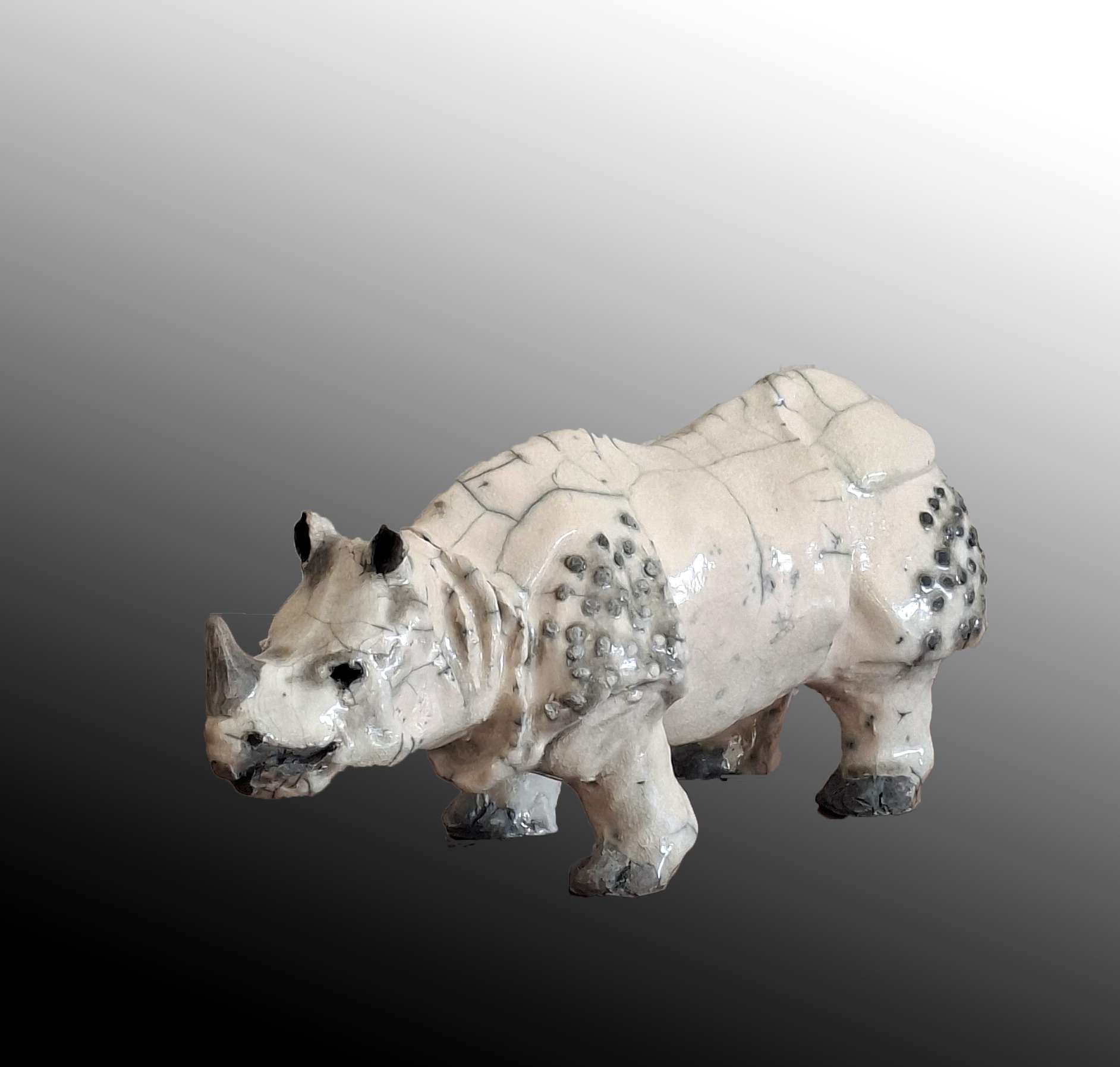 RHINOCEROS2